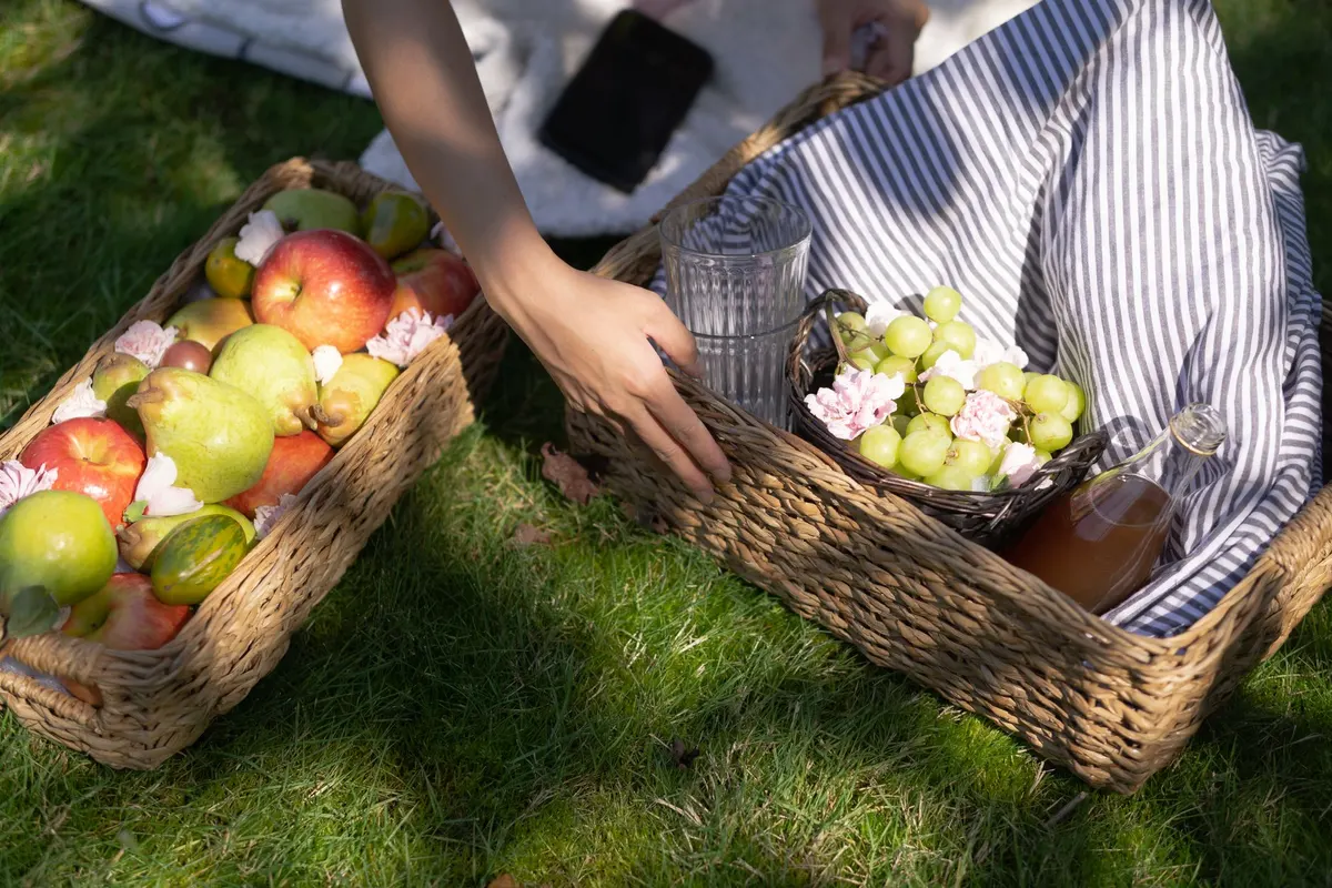 Voyager et pique-niquer sans gluten en Provence : le guide pratique